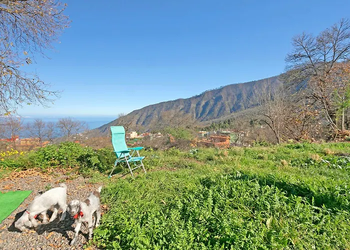 Aguamansa Relax 度假居 *